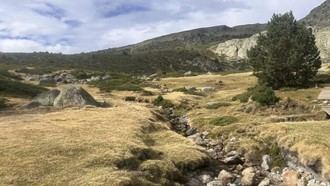 Información en tiempo real sobre la calidad del aire en Galapagar durante incendios forestales