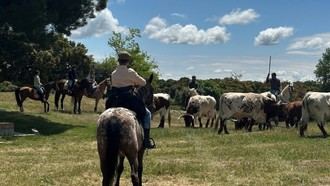 I Jornadas de Arte y Cultura Ganadera para revivir tradiciones en Galapagar