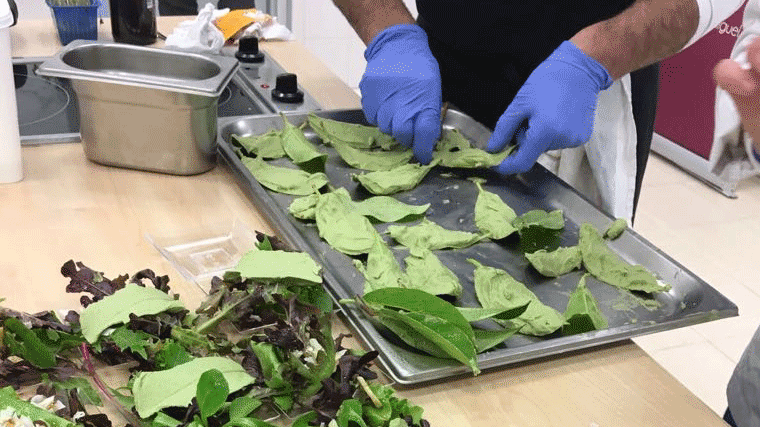 Programa de becas para fomentar la gastronomía en la localidad