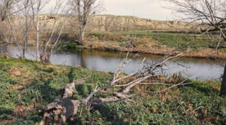 Hernández pide a la Confederación Hidrográfica del Tajo agilizar Getafe Río