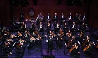 Concierto de Harry Potter cierra la temporada sinfónica en Rivas