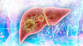 Madrid, a la cabeza de casos de hepatitis A con 409 de los 1.038 notificados en España