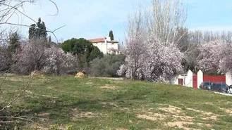 `Salvar Hortaleza´ presenta 7.000 firmas para reclamar a la Comunidad la protección de la Huerta de Mena