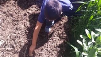 El Ayuntamiento mejora y amplía la red de huertos escolares en una decena de centros