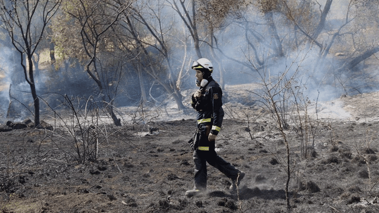 500 efectivos trabajan en el incendio de Cadalso, que ya es el mayor de este siglo en la región