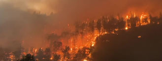 España en llamas: Dos fallecidos, una veintena de heridos y miles de evacuados y hectáreas quemadas