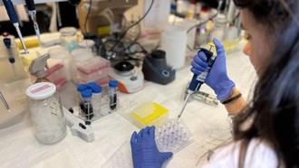 Identifican en La Paz una proteína clave en la agresividad del melanoma, abriendo nuevas vías para su tratamiento