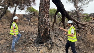 Actuaciones en 100 kilómetros de caminos forestales tras el gran incendio en la Sierra Oeste para garantizar la seguridad ciudadana