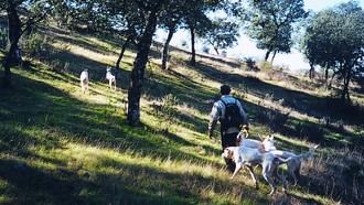 Récord histórico en Madrid: casi 5.000 solicitudes para permisos de caza en 2026-2027
