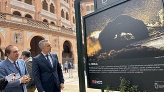 Casi el 90% de los festejos taurinos en Madrid contarán con reses locales este año