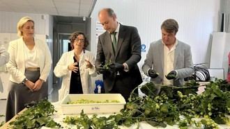 Ayudas del Gobierno madrileño a 89 pymes para impulsar la Inteligencia Artificial en sus procesos productivos