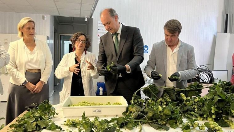 Ayudas del Gobierno madrileño a 89 pymes para impulsar la Inteligencia Artificial en sus procesos productivos