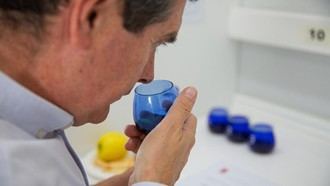 Convocan el primer Concurso de Catadores de Aceite de Oliva Virgen en la región para impulsar su excelencia
