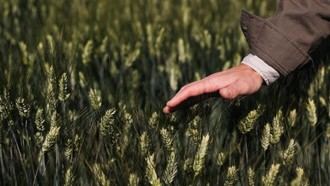 Premios de Medio Ambiente en Madrid para reconocer iniciativas de conservación y sostenibilidad