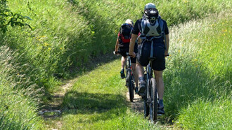 Parte de la recaudación de la marcha cicloturista Mussara se destinará a reforestar la Sierra Oeste de Madrid