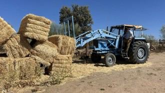 Casi medio millón de kilos de forraje para ganaderías afectadas por incendios en la Sierra Oeste