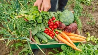 Madrid presenta su oferta de alimentos ecológicos en BioCultura 2024 con actividades y talleres
