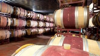 Mejoran seis bodegas en cuatro municipios rurales de la región para impulsar el enoturismo