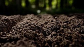 Generadas 100 toneladas de abono orgánico en la planta piloto de Alcalá para mejorar suelos agrícolas en la región