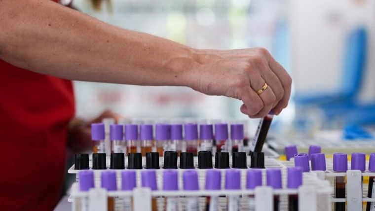 Urgente: Madrid solicita donaciones de sangre para afrontar el puente festivo del 15 de agosto