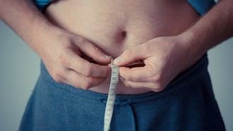 Identifican en Madrid la conexión entre microbiota intestinal y salud metabólica en obesidad