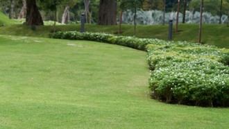 Investigadores madrileños desarrollan praderas urbanas más resistentes y con menor consumo de agua