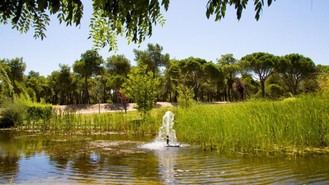 Nuevos métodos para obtener energía solar y del agua en Madrid: el proyecto Hydragon avanza hacia el hidrógeno verde