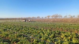5 millones de euros para impulsar la innovación agrícola en Madrid