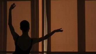 AULAS: Un nuevo programa para llevar las artes escénicas a estudiantes de todas las edades en la región