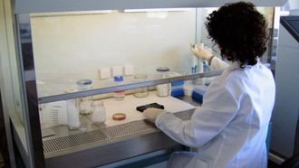 Madrid se convierte en pionera al obtener la primera acreditación en España para identificar variedades de vid mediante ADN
