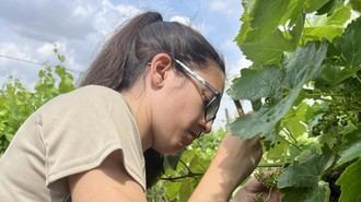 36 cursos gratuitos para impulsar el sector agropecuario en la región