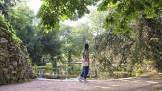 800 plazas disponibles para explorar Carabanchel en paseos guiados del programa 