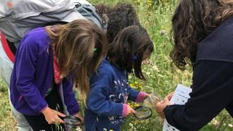 Campamentos infantiles gratuitos en Arroyomolinos para explorar la naturaleza de la región