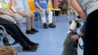 Madrid lanza un innovador programa terapéutico con perros para tratar trastornos mentales graves