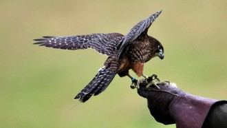 Nueva ley en Madrid regula caza y pesca para impulsar el desarrollo rural y proteger el medio ambiente