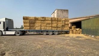 Madrid distribuye 133.000 kilos de comida y 60.000 litros de agua para animales silvestres afectados por incendios