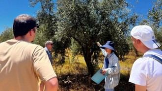Expertos madrileños intercambian conocimientos sobre olivicultura en Portugal