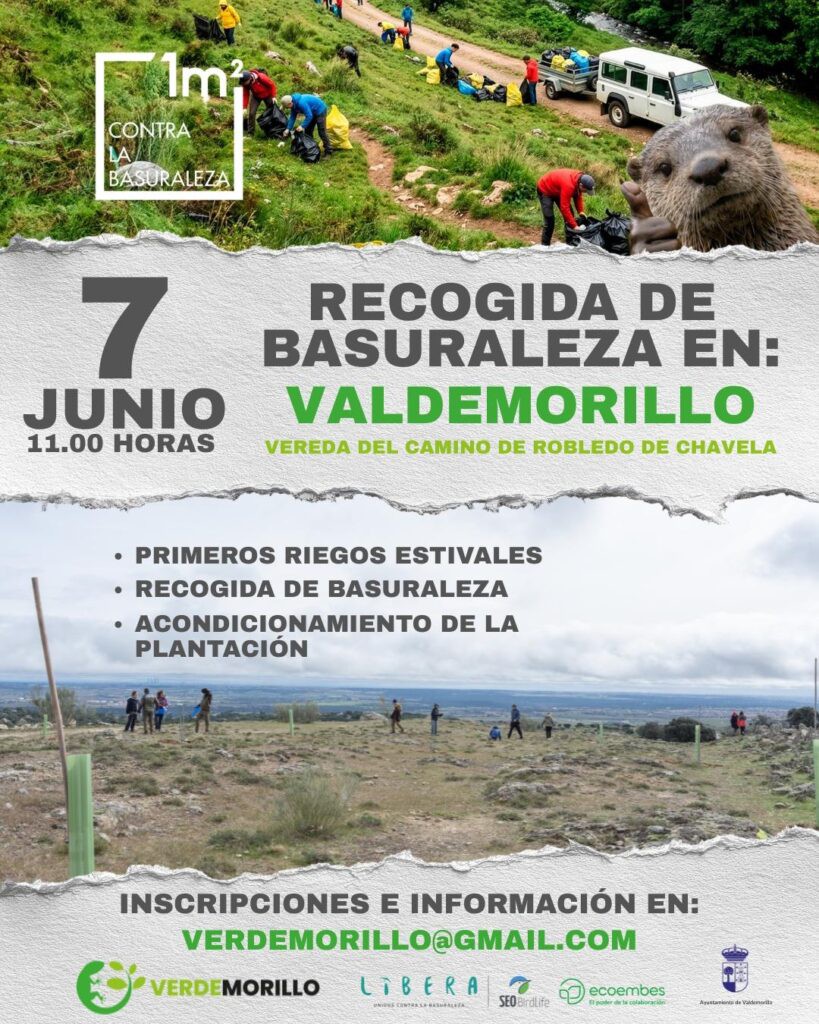 Verdemorillo impulsa jornada de limpieza y conservación del entorno natural el 7 de junio