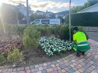 Transformación de espacios verdes en Moralzarzal con enfoque inclusivo laboral