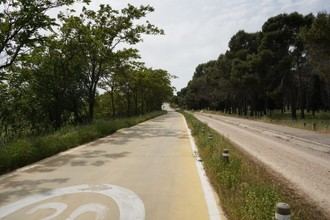 Estudian recuperar el doble sentido en la vía pecuaria de Perales del Río