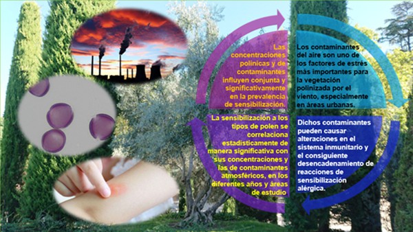 Contaminación del aire y aumento de alergias al polen en Madrid