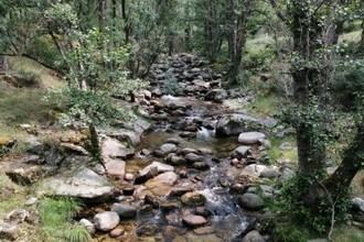 Impacto del cambio climático en microbios de ríos