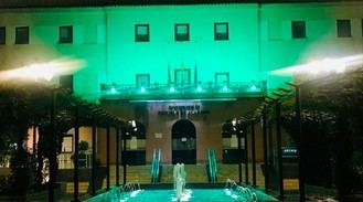 Fachada del Consistorio se ilumina de verde por el Día Mundial del ELA