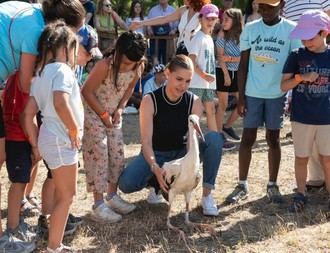 Tradicional suelta de cigüeñas en la Huerta del Obispo de Alcalá