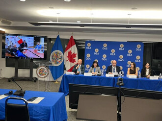 Carmen Meneses presentó ante embajadores de la OEA un estudio sobre correos humanos de drogas