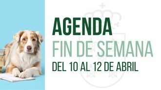 Actividades familiares y culturales destacan en Galapagar este fin de semana