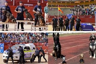 Éxitos de la Unidad Canina en Jornadas Policiales y Militares de España