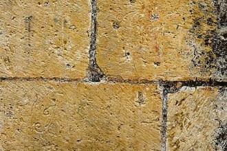 La URJC investiga grafitos históricos en Madrid