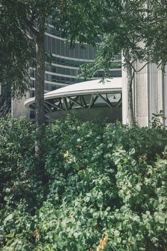 La vegetación urbana puede disminuir la mortalidad por calor a largo plazo