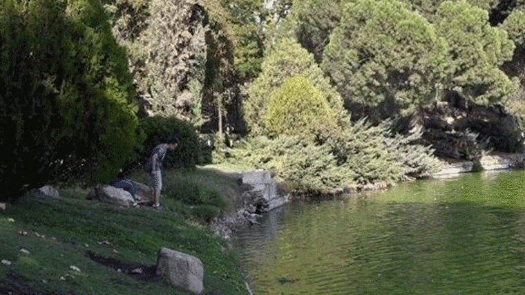 Senderismo, caballos y ciclismo en la 'vía verde' entre Casa de Campo y Alcorcón